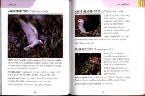 Reed Concise Guide:  Birds of Australia - Image 4
