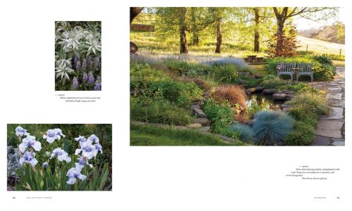 Adelaide Hills Gardens - Image 4