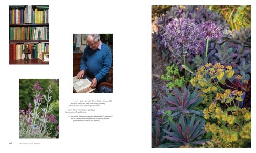 Adelaide Hills Gardens - Image 5