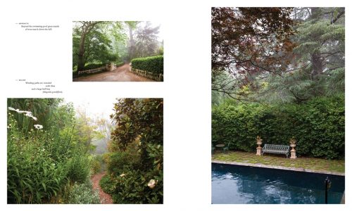 Adelaide Hills Gardens - Image 6