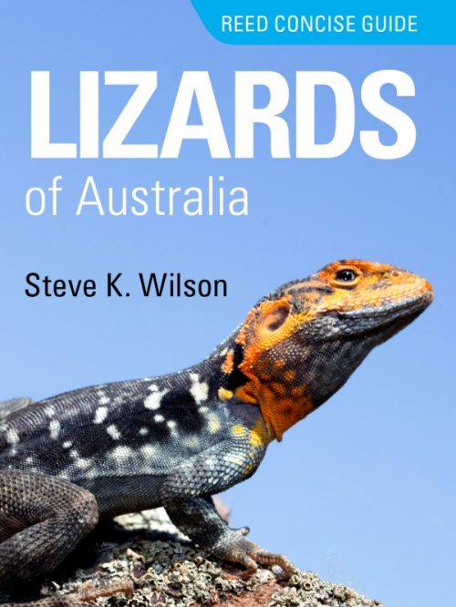 Reed Concise Guide:  Lizards of Australia
