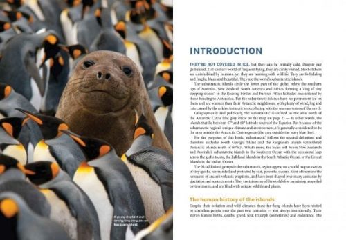 Trial of Strength:  Adventures and Misadventures on the Wild and Remote Subantarctic Islands - Image 2
