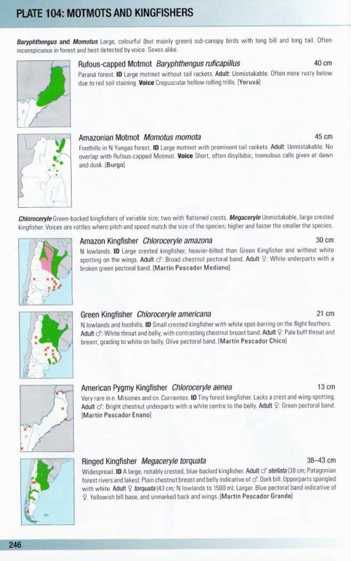 Birds of Argentina and the South-West Atlantic (Helm Field Guide) - Image 3