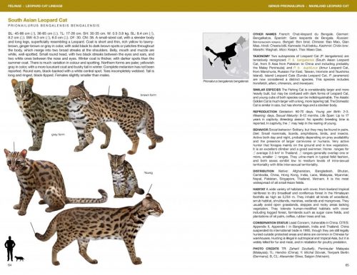 Felids and Hyenas of the World:  Wild Cats, Panthers, Lynx, Pumas, Ocelots, Caracals, and Relatives - Image 5