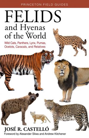 Felids and Hyenas of the World:  Wild Cats, Panthers, Lynx, Pumas, Ocelots, Caracals, and Relatives