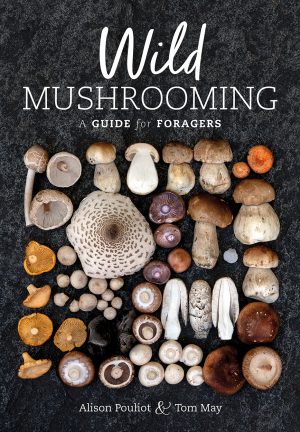 Wild Mushrooming:  A Guide for Foragers