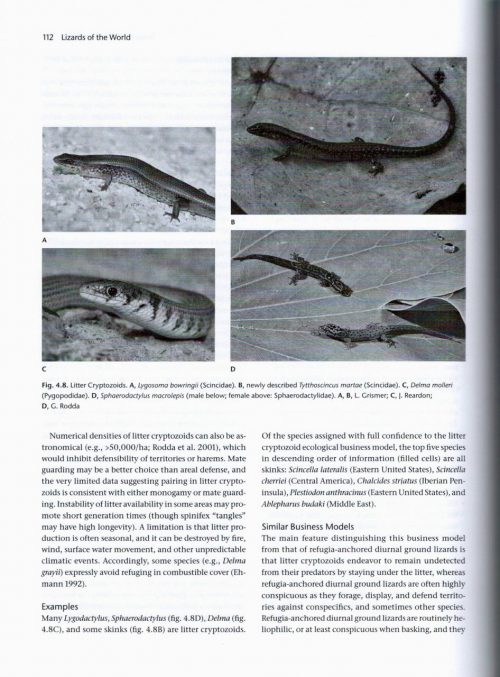 Lizards of the World: Natural History and Taxon Accounts - Image 4