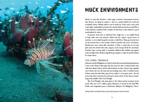 Muck Diving:  A Diver's Guide to the Wonderful World of Critters - Image 2