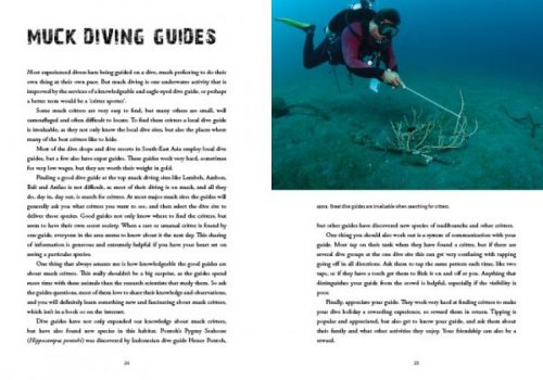 Muck Diving:  A Diver's Guide to the Wonderful World of Critters - Image 3