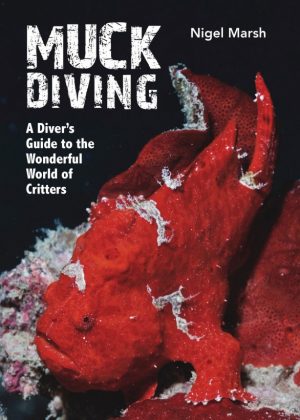 Muck Diving:  A Diver's Guide to the Wonderful World of Critters