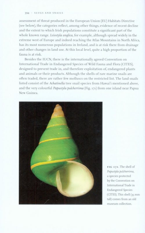 Slugs and Snails - Image 5
