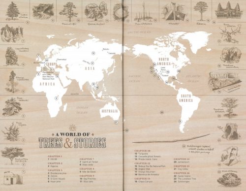 Tree Story: The History of the World Written in Rings - Image 2