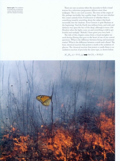 Forces of Nature - Image 3