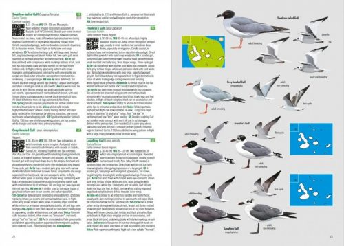 Birds and Mammals of the Galapagos (Flexibound) - Image 2