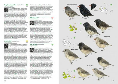 Birds and Mammals of the Galapagos (Flexibound) - Image 3