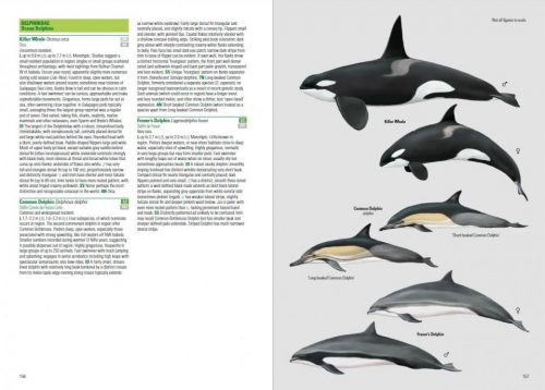 Birds and Mammals of the Galapagos (Flexibound) - Image 4