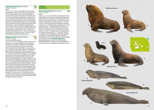 Birds and Mammals of the Galapagos (Flexibound) - Image 5