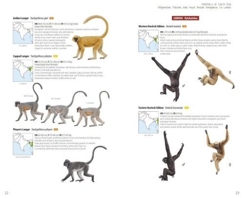 Mammals of South Asia:  Afghanistan, Pakistan, India, Nepal, Bhutan, Bangladesh, Sri Lanka - Image 2