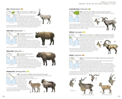 Mammals of South Asia:  Afghanistan, Pakistan, India, Nepal, Bhutan, Bangladesh, Sri Lanka - Image 3