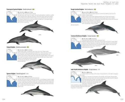 Mammals of South Asia:  Afghanistan, Pakistan, India, Nepal, Bhutan, Bangladesh, Sri Lanka - Image 4