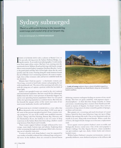 Urban Wild:  The Aussie Animals that Share our Backyards, our Cities and our Lives - Image 6
