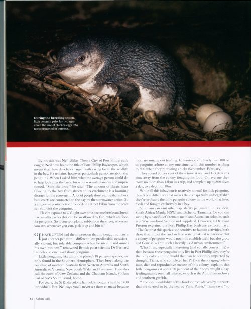 Urban Wild:  The Aussie Animals that Share our Backyards, our Cities and our Lives - Image 4