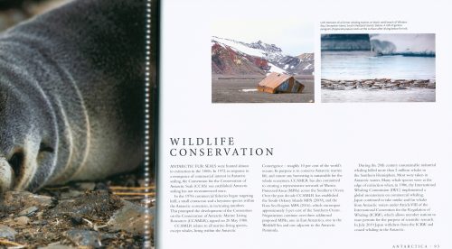 Antarctica - Image 5