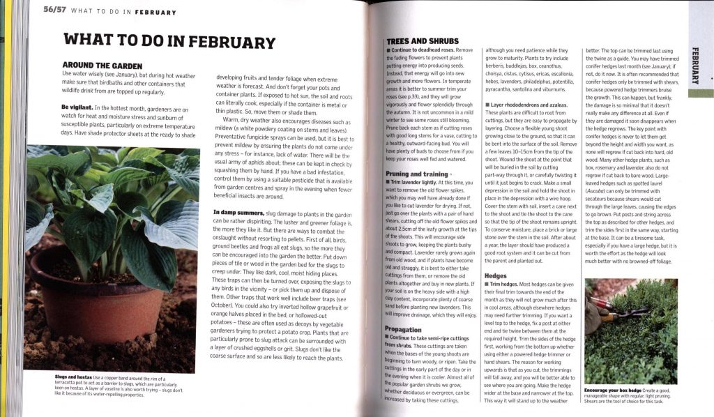 Gardening Through the Year in Australia Month by Month Planning Instructions & Inspiration