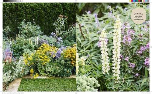 The Bee Friendly Garden:  Easy Ways to Help the Bees and Make Your Garden Grow - Image 4