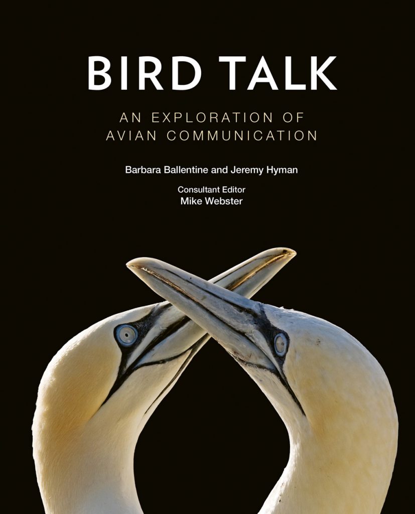 Bird Talk An Exploration of Avian Communication Nokomis
