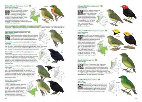 Birds of Colombia (Flexibound) - Image 2