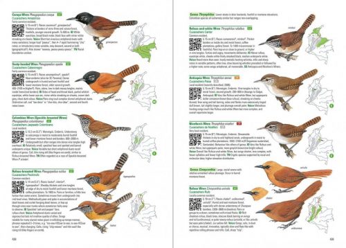 Birds of Colombia (Flexibound) - Image 4