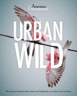 Urban Wild:  The Aussie Animals that Share our Backyards, our Cities and our Lives
