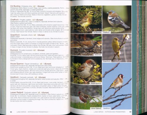Wildlife of New Zealand: A Bateman Field Guide (Second Edition) - Image 5