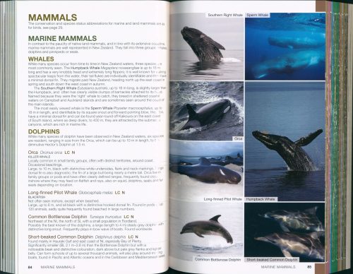 Wildlife of New Zealand: A Bateman Field Guide (Second Edition) - Image 3
