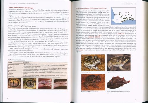 Photographic Field Guide to Australian Frogs - Image 2