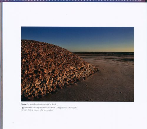 Lake Tyrrell:  An Ever-Changing Landscape - Image 3
