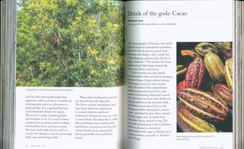 Trees of Life:  Eighty Species to Nourish and Sustain Humanity - Image 3
