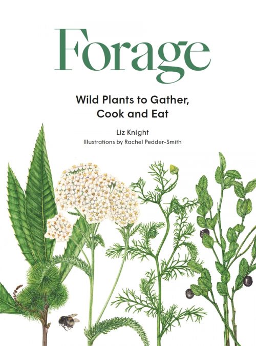 Forage: Wild Plants to Gather and Eat