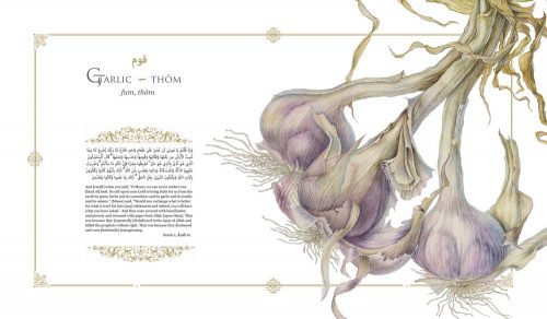 Plants of the Qurʾān:  History and Culture - Image 3