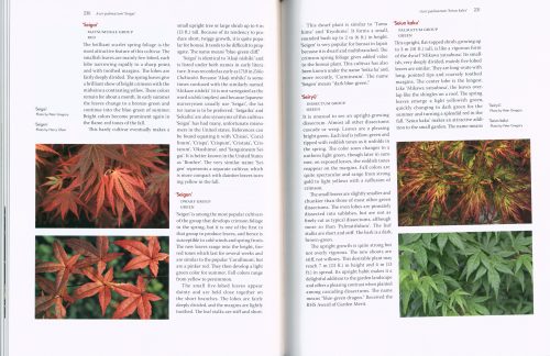 Japanese Maples:  The Complete Guide to Selection and Cultivation (Fourth Edition) - Image 3