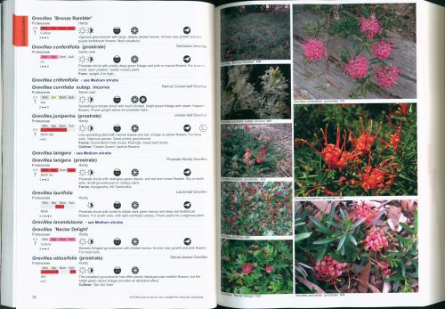 Australian Plants for Canberra Region Gardens and Other Cool Climate Areas (Fifth Revised Edition) - Image 3