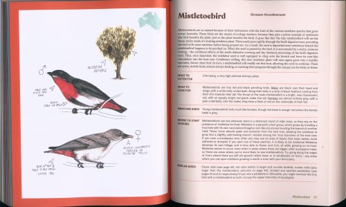 100 Australian Birds - Image 3