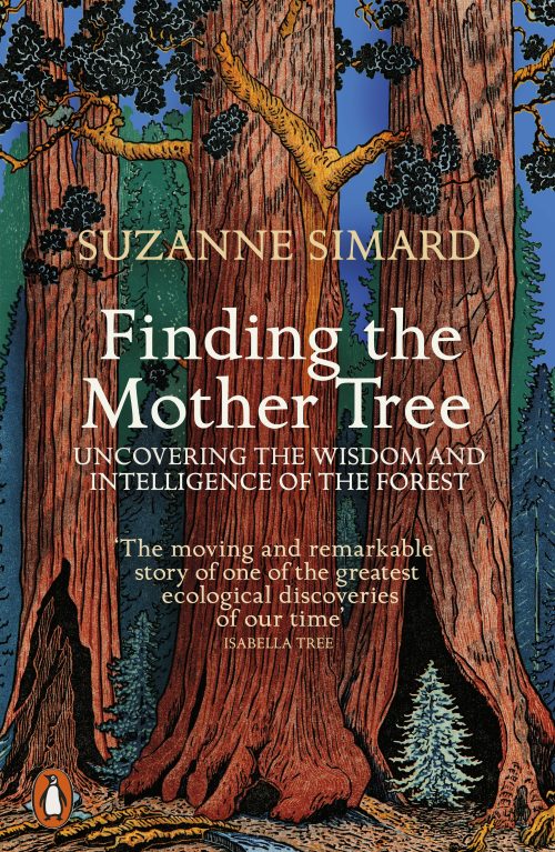 Finding the Mother Tree:  Uncovering the Wisdom and Intelligence of the Forest