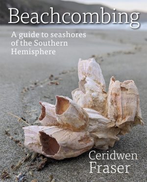 Beachcombing:  A Guide to Seashores of the Southern Hemisphere