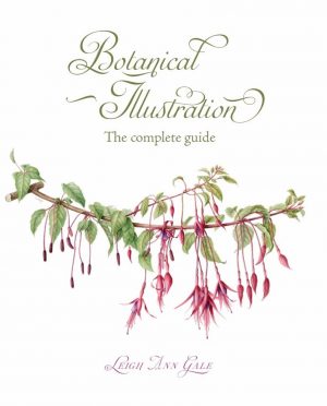 Botanical Illustration: The Complete Guide