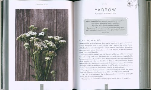 Plants of Power: Cultivate Your Garden Apothecary and Transform Your Life - Image 2