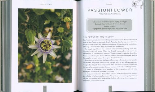 Plants of Power: Cultivate Your Garden Apothecary and Transform Your Life - Image 3