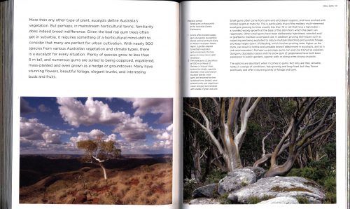 Native: Art and Design with Australian Native Plants - Image 3