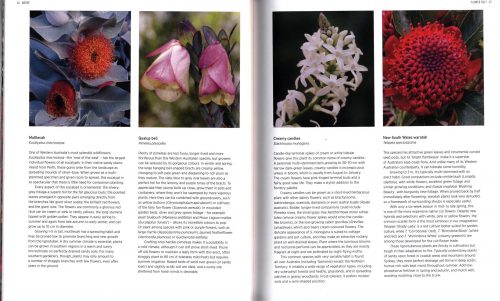 Native: Art and Design with Australian Native Plants - Image 2